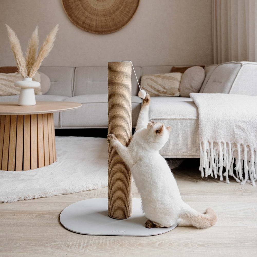 District 70 – OASIS Design stalen krabpaal – 70 cm hoog
