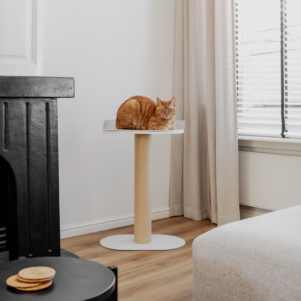 District 70 – OASIS Design stalen krabpaal met ligplaats - 80 cm hoog