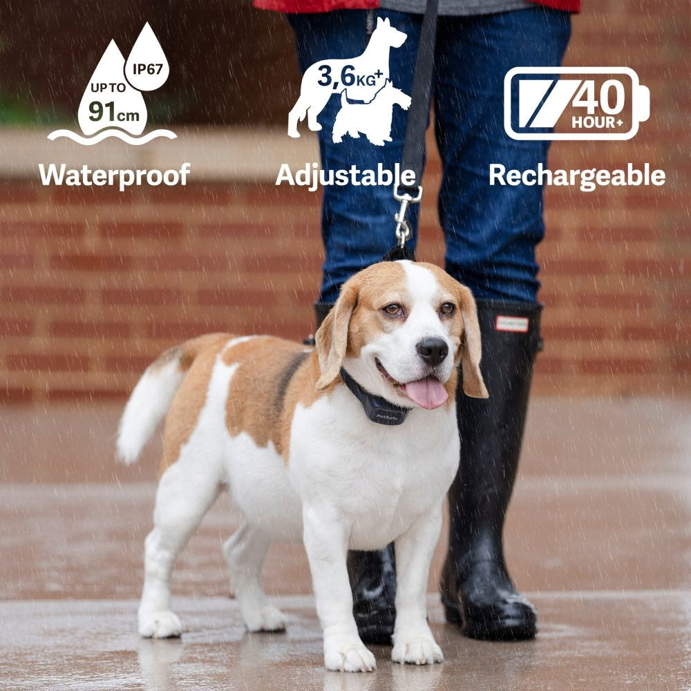 PetSafe® Audible Bark Collar