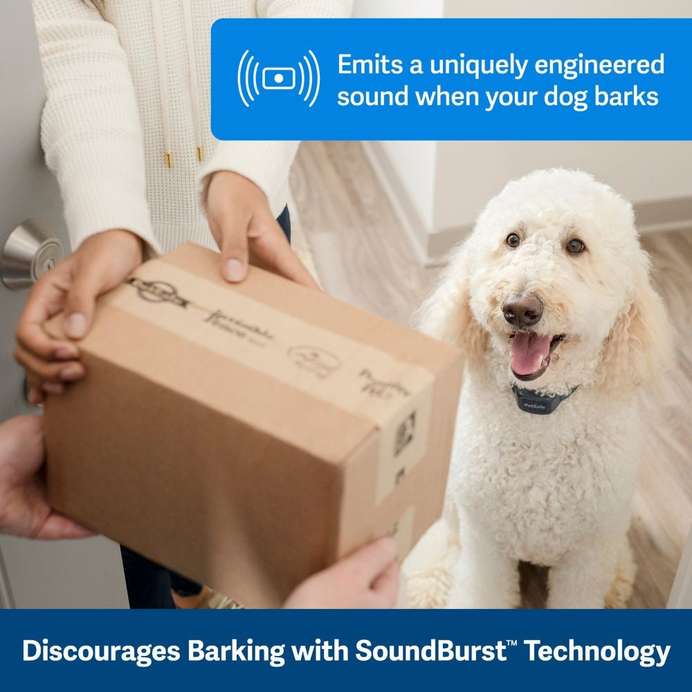 PetSafe® Audible Bark Collar