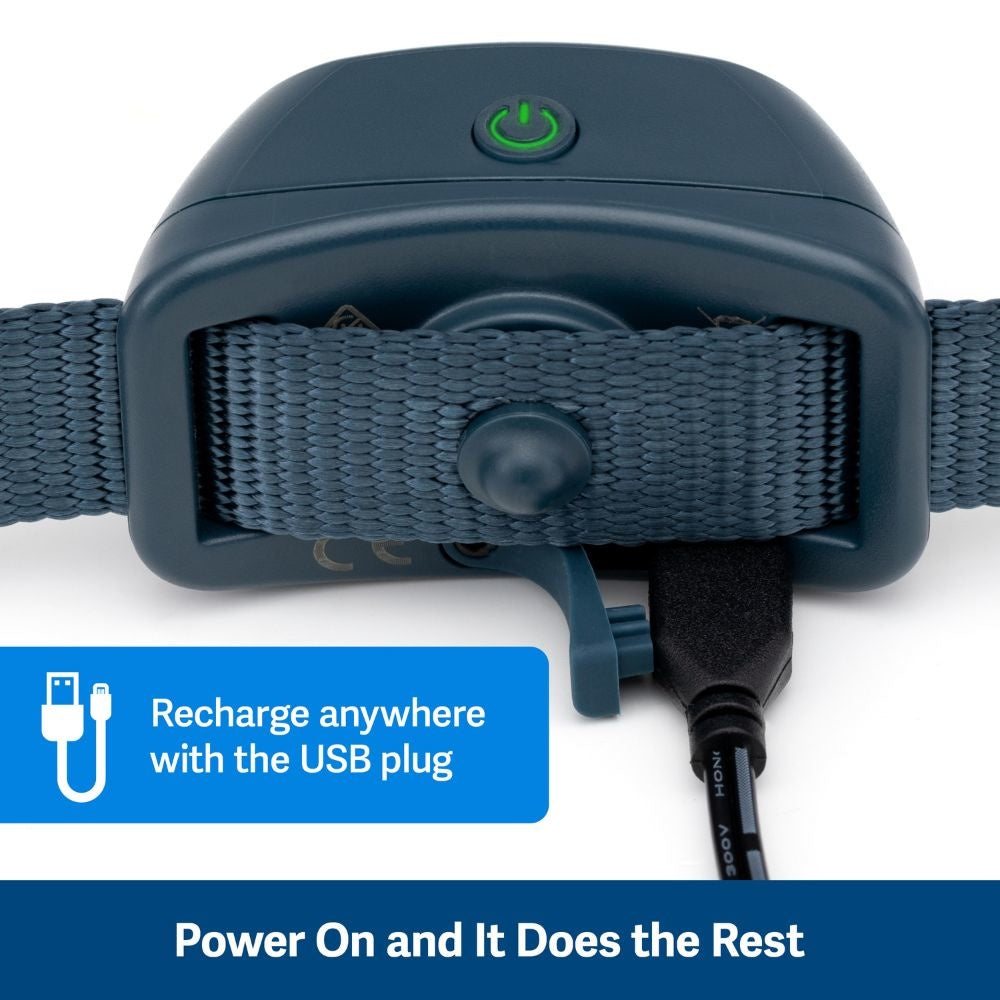 PetSafe® Audible Bark Collar