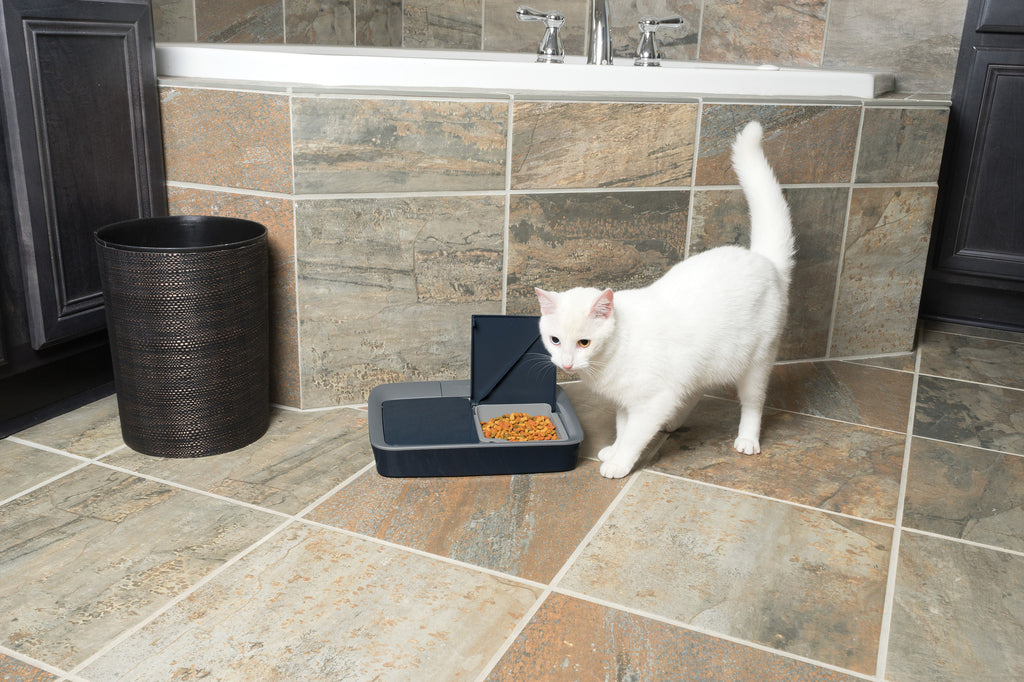 Petsafe® Digital Two Meal Pet Feeder