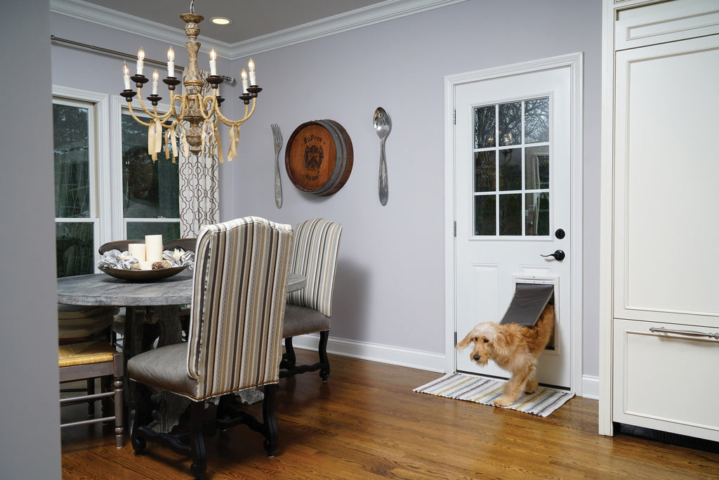 PetSafe® Extreme Weather Door™