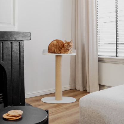 District 70 – OASIS Design stalen krabpaal met ligplaats - 80 cm hoog
