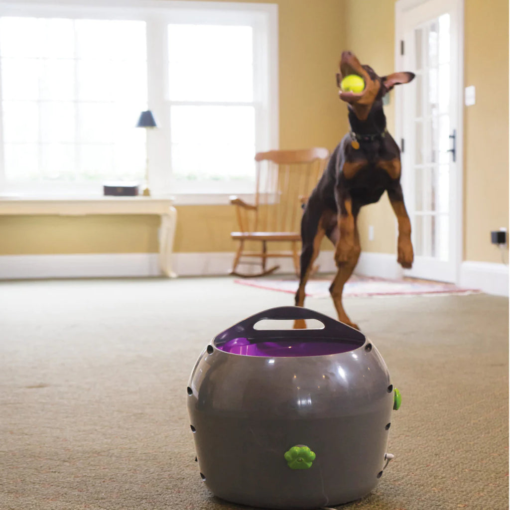 PetSafe - Automatic Ball Launcher