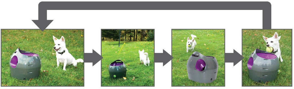 PetSafe - Automatic Ball Launcher