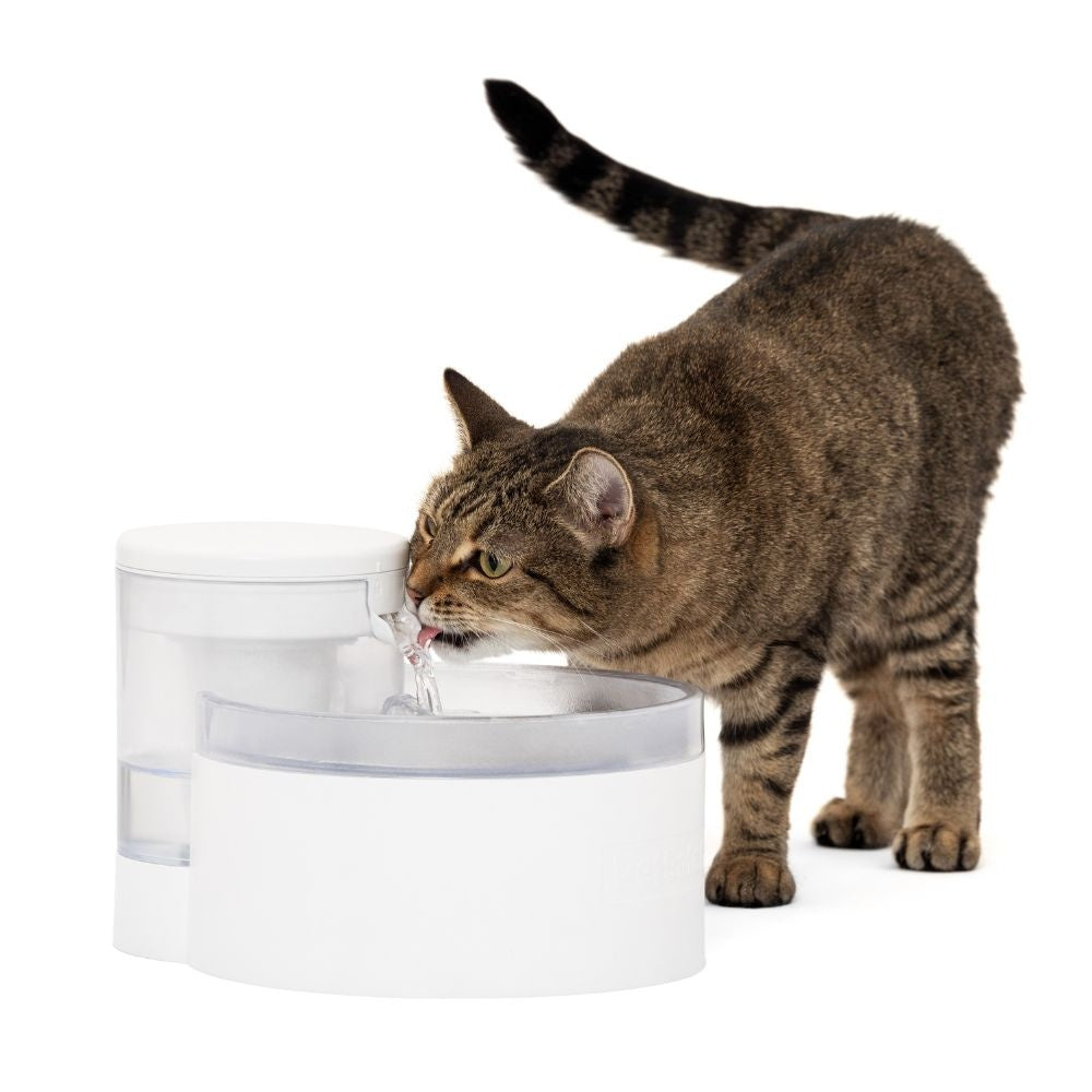 PetSafe Outlast™ 1.7 L Pumpless Pet Fountain