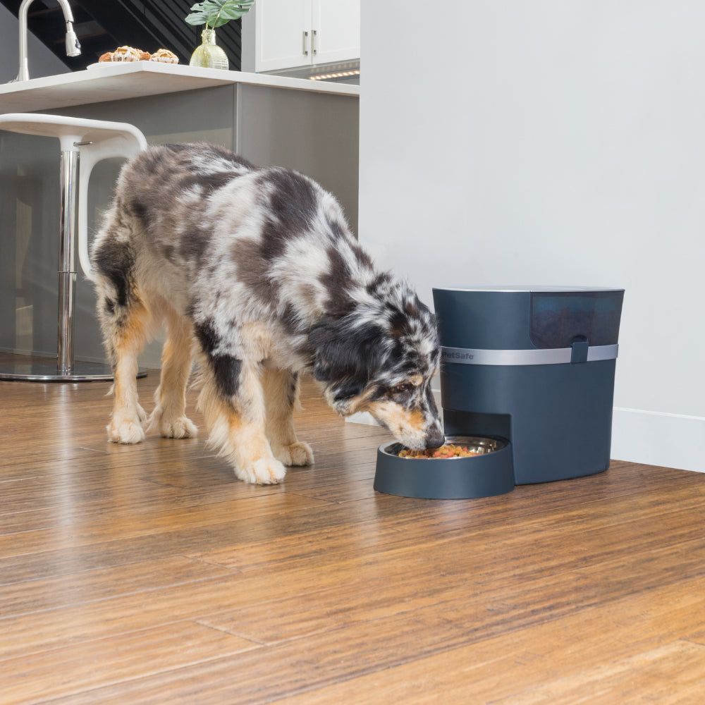 Petsafe® Smart Feed Automatic Pet Feeder