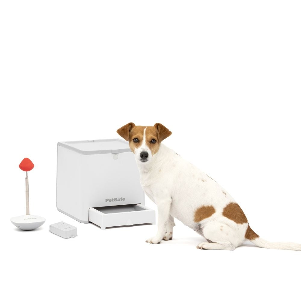 PetSafe - Teach & Treat Remote Reward Trainer