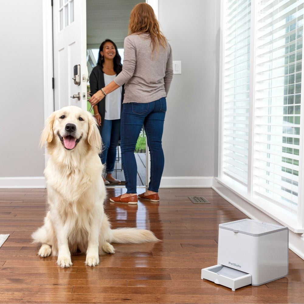 PetSafe - Teach & Treat Remote Reward Trainer