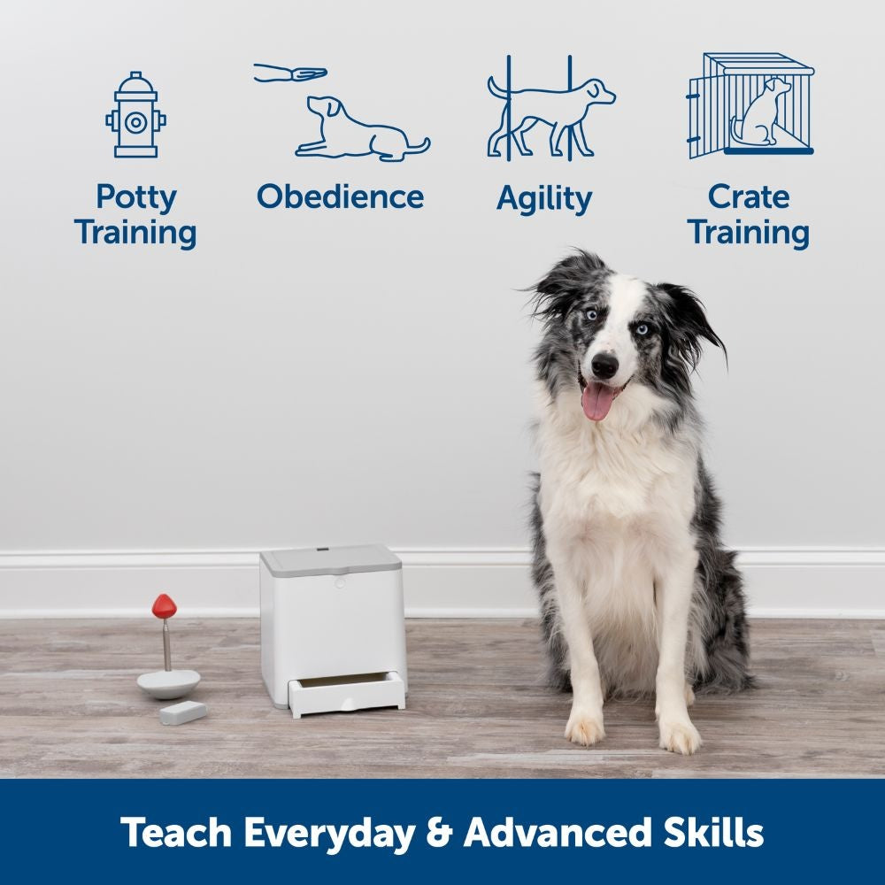 PetSafe - Teach & Treat Remote Reward Trainer