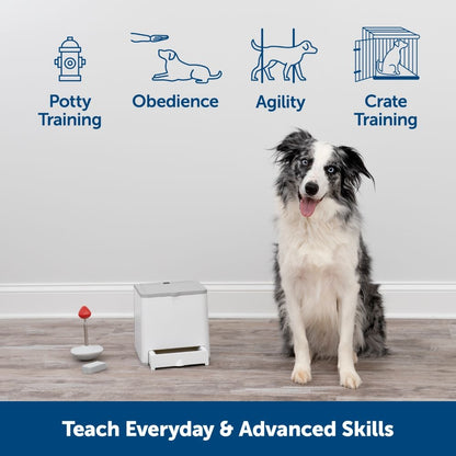 PetSafe - Teach & Treat Remote Reward Trainer