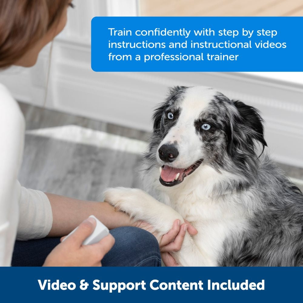 PetSafe - Teach & Treat Remote Reward Trainer